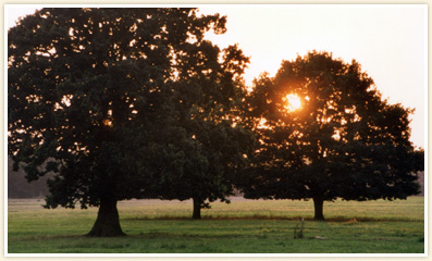 Abendsonne bei Krampfer